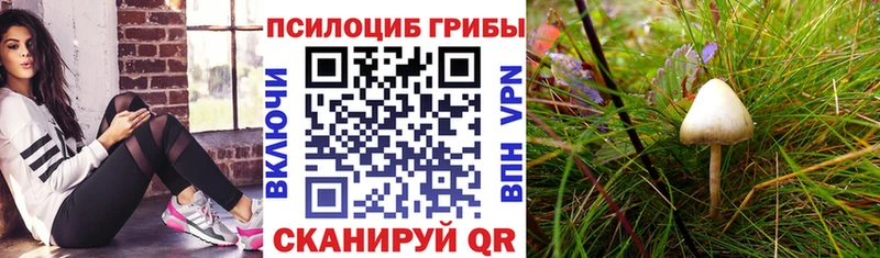 OMG ССЫЛКА  Иноземцево  Галлюциногенные грибы MAGIC MUSHROOMS 